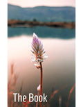 The Book 9